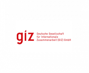 Logo Deutsche Gesellschaft für Internationale Zusammenarbeit GmbH (GIZ)